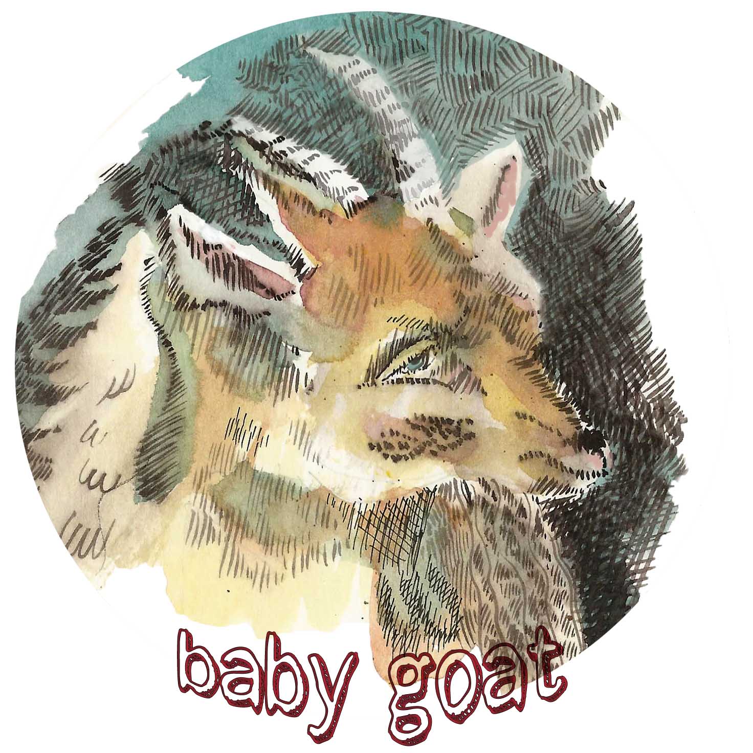 baby-goat-web