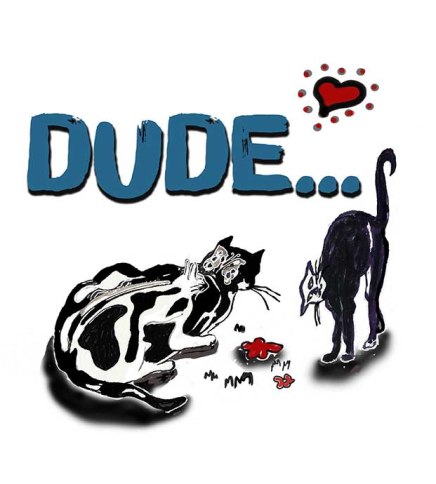 Dude-web