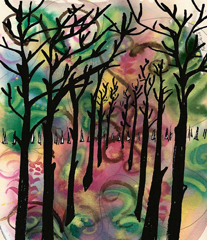 tall-thin-trees-color-web