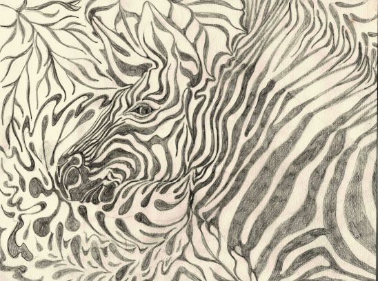 zebra-graphite-4x3.web