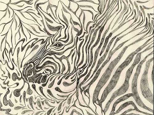 zebra-graphite-web