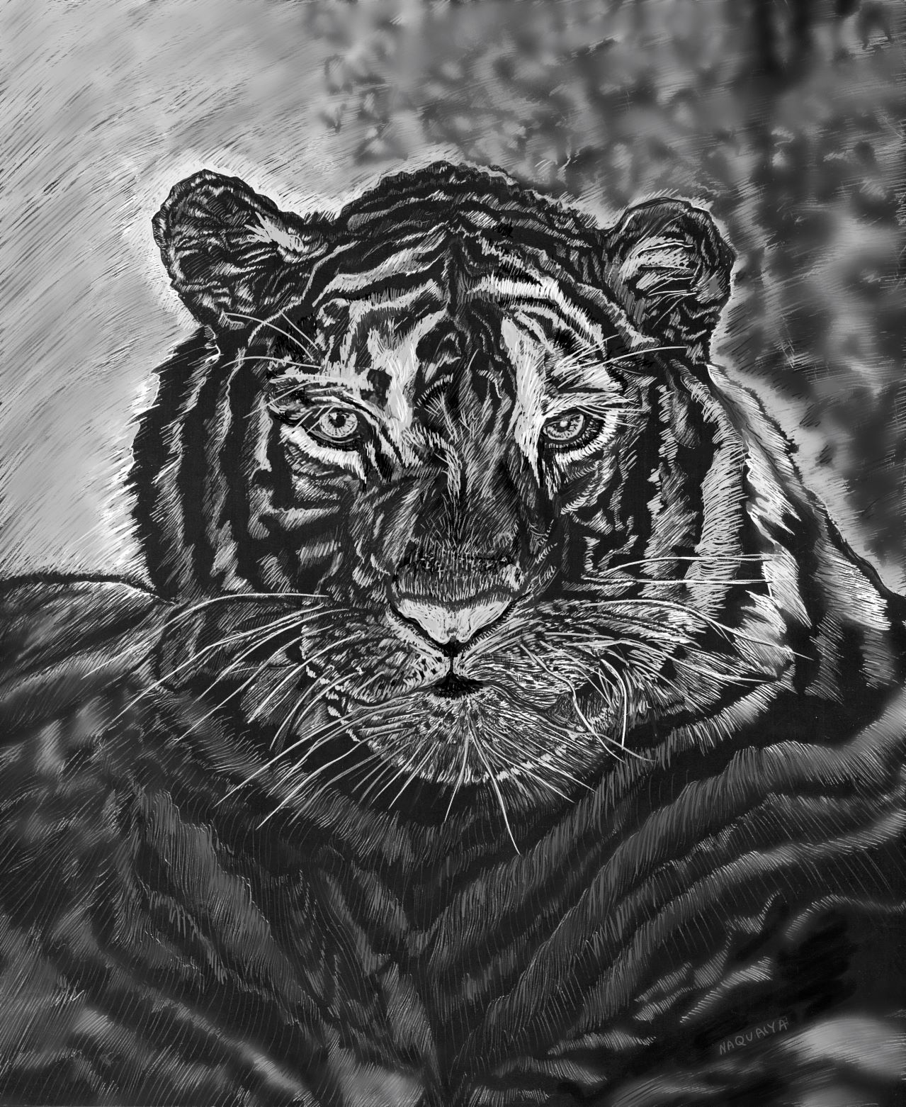 tiger.silver.web