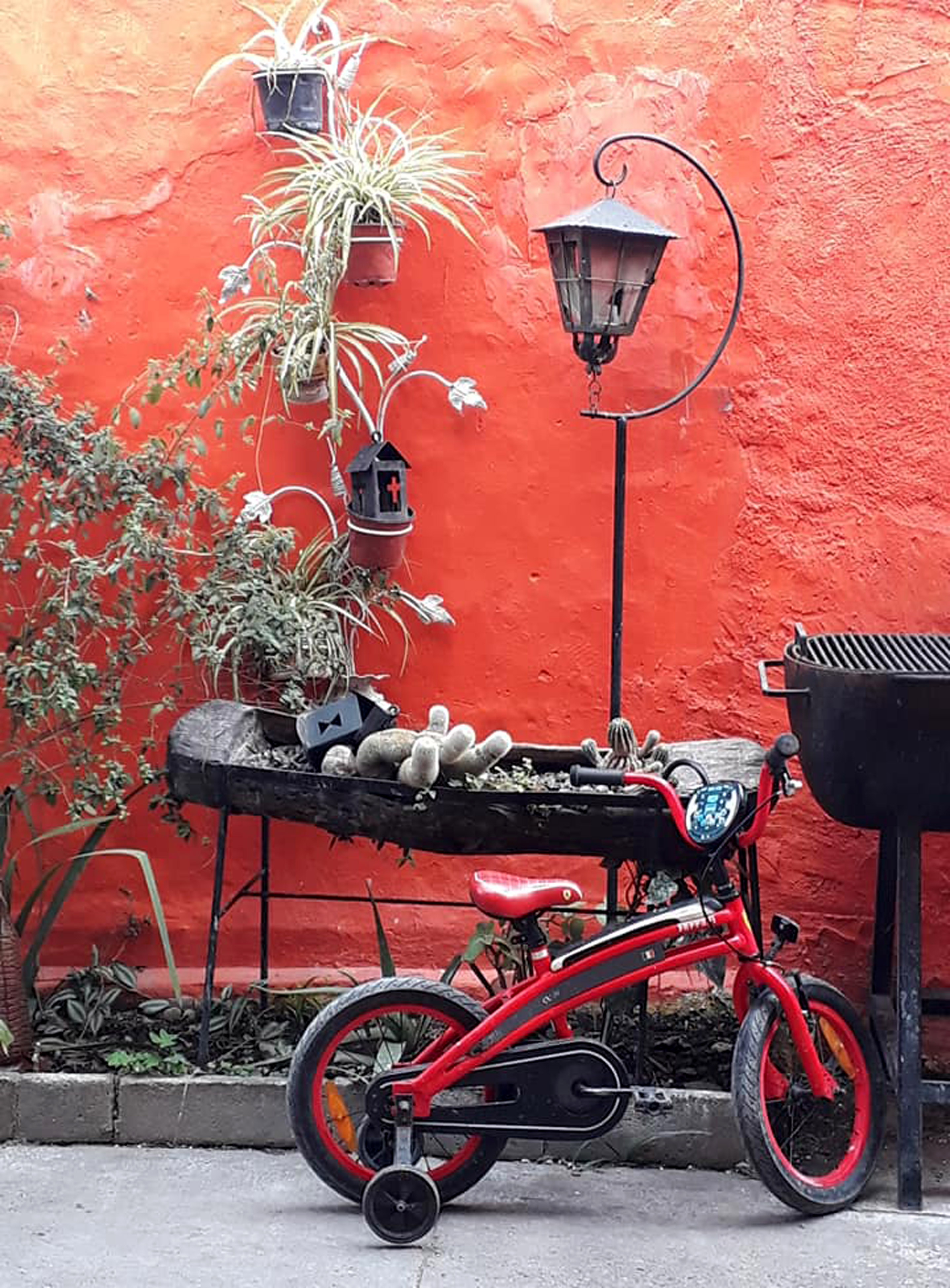 red bike still life